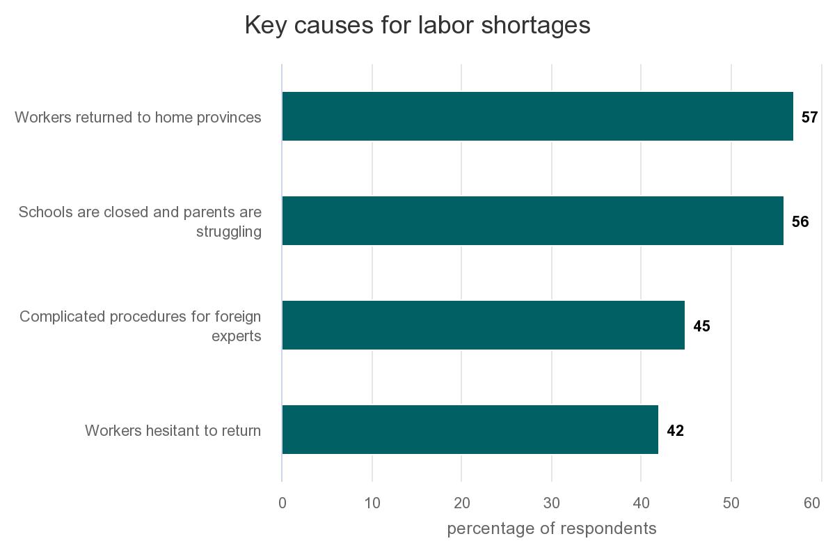 Key Causes For Labor Sho