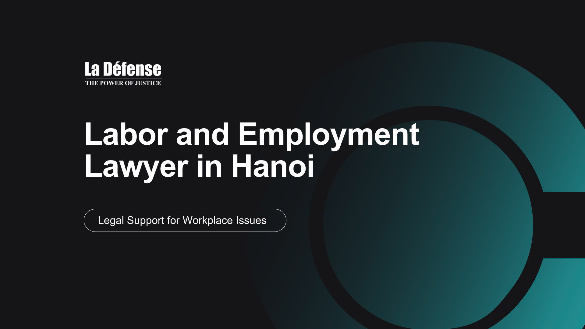 Labor and Employment Lawyer 