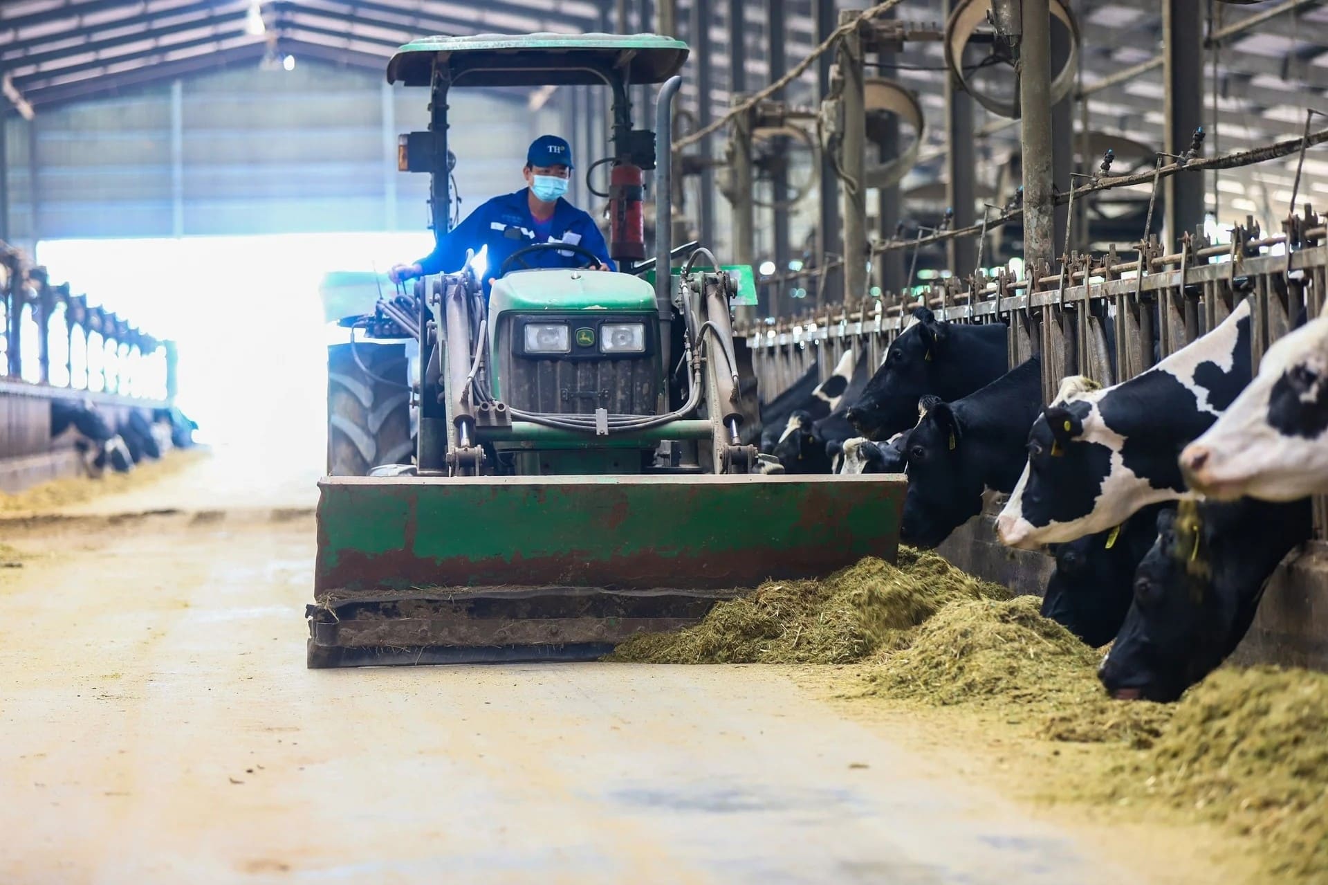 Dairy Processing Plant In Vietnam
