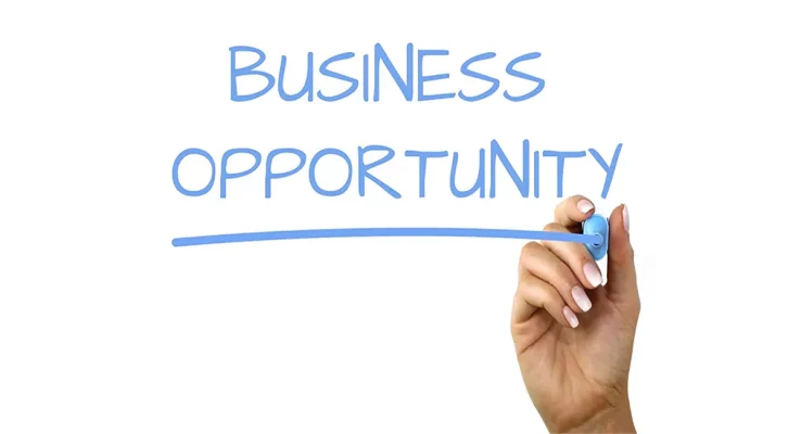 Expat Enterprises in Vietnam