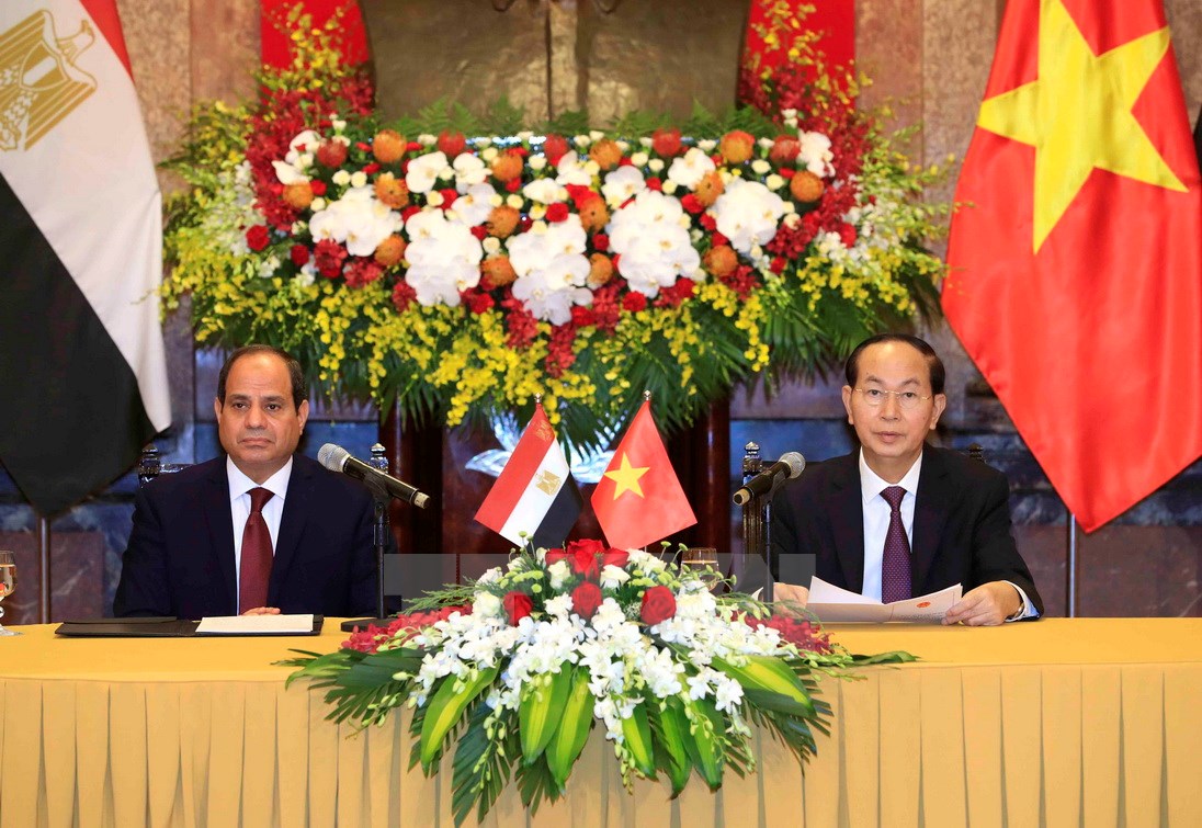 Vietnam Egypt Cooperation