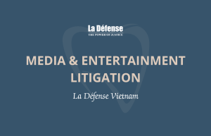 Media & Entertainment Litigation